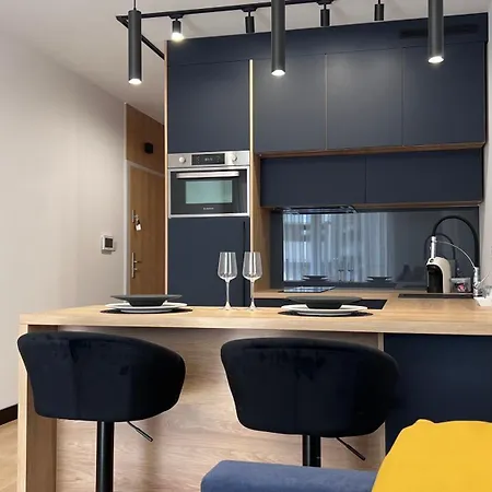 Apartament Poleska 公寓 *