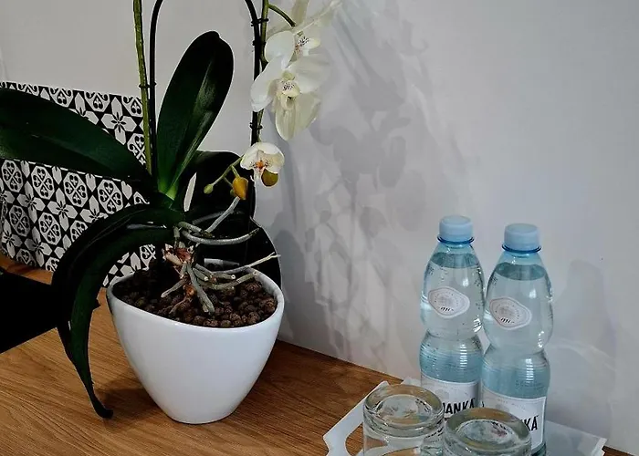 Apartament Poleska Apartmán